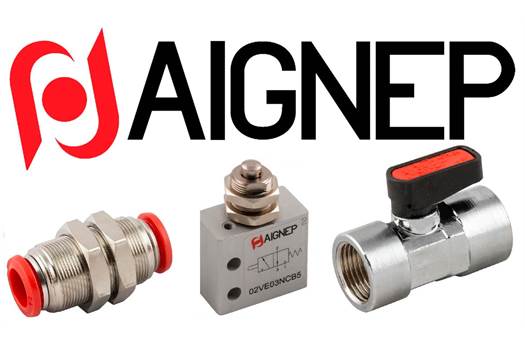 Aignep 1048000012-10480-12-1/4 Adaptor
