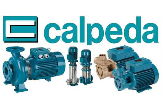 Calpeda 60800041000 NM4 25/200 CE Centrifugal pump in 