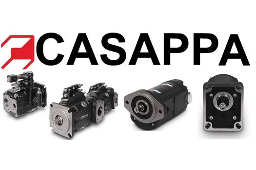Casappa S.p.A. -Dichtsatz für PLD20/2 CS-GE/11,2-GD11,2-GDVPEF Zahnradölstromteiler