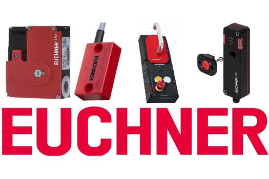 Euchner STP-TW-4A-4141AC024M (115434) safety switch