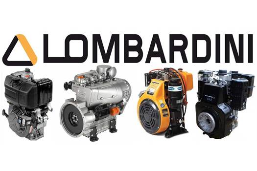 Lombardini 12LD435-2  4656920 engine