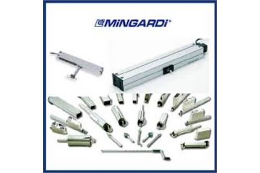 Mingardi Linea EURO 1 obsolete replaced by NTS1 Motor