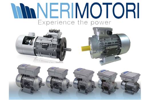 Neri Motori IEC CFL IP55 B5(140/11) 3 Phase Motor T63B4,