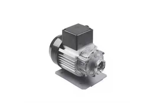 RPM S.p.a C008406 300W PUMP