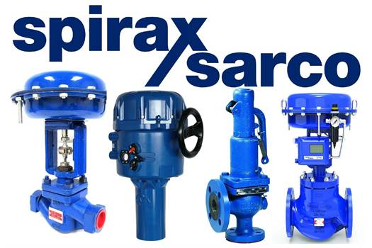 Spirax Sarco 405211 (BSA3, DN100) Shut-off valve with 